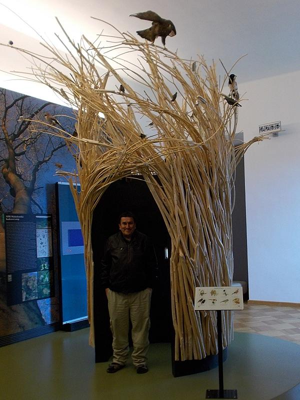 Zámek Třebíč - expozice Příroda Třebíčska